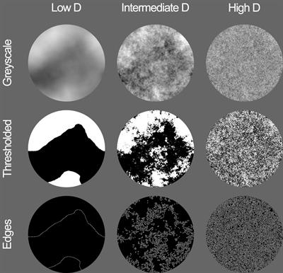 Preference for Fractal-Scaling Properties Across Synthetic Noise Images and Artworks